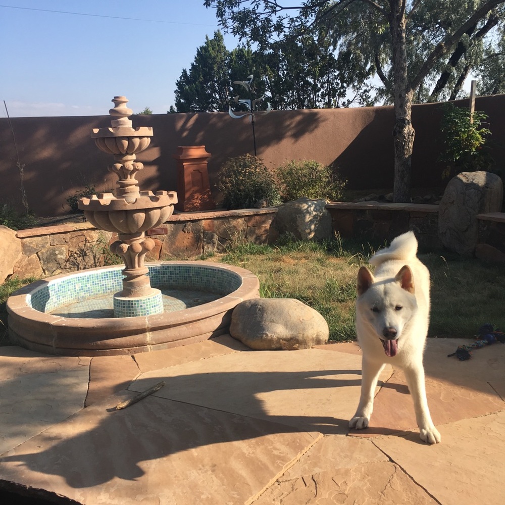 Meet your Posher, Arik